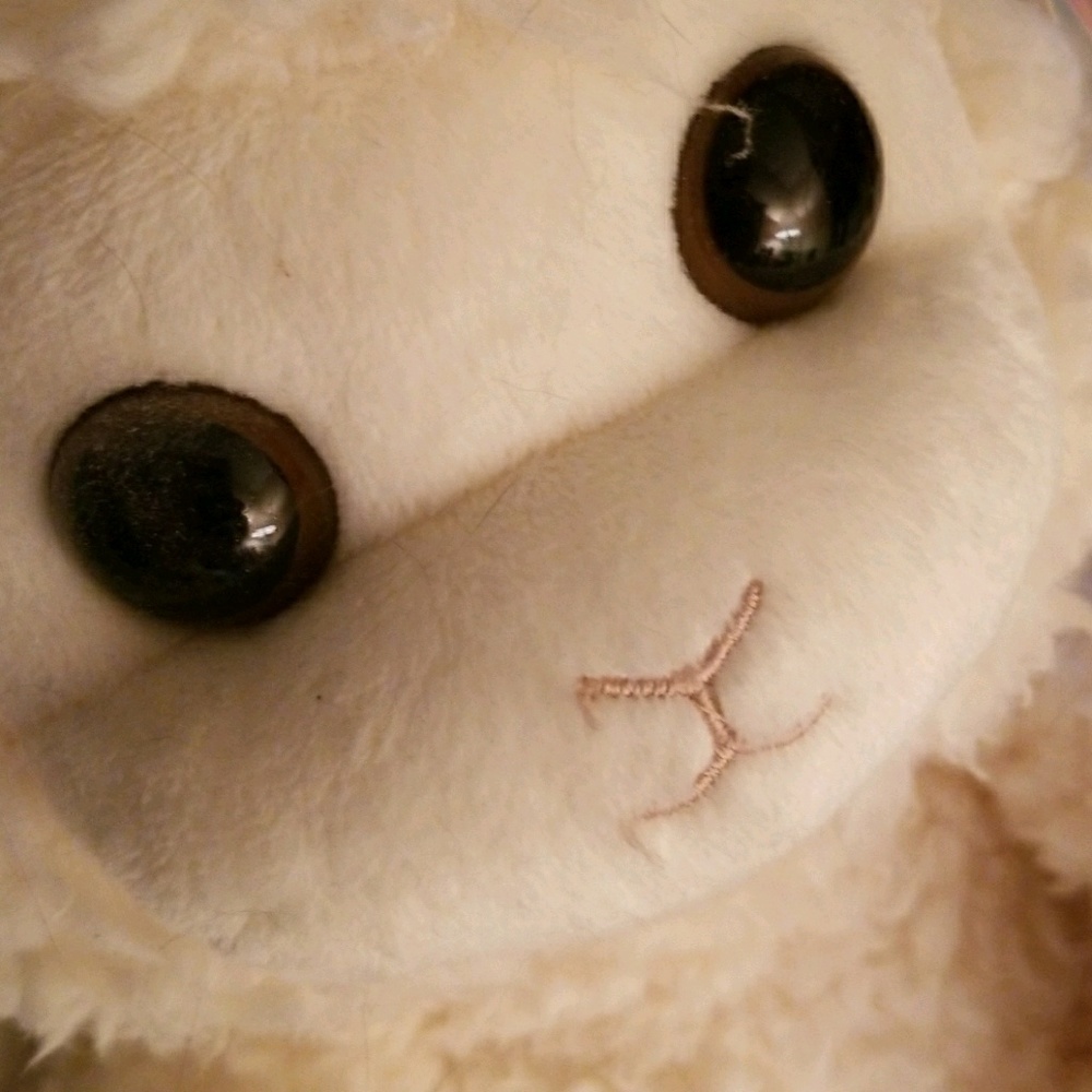 Meet your Posher, Diane